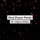 Rose Flower Petals Falling with Alpha - VideoHive Item for Sale