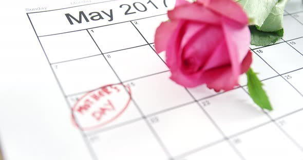 Pink rose on calendar alt