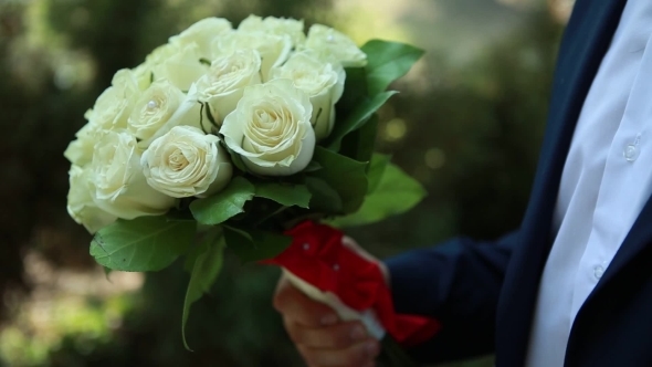 Beautiful Wedding Bouquet In Hands