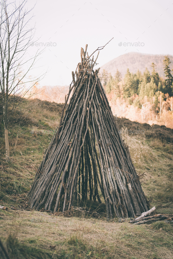 Primitive shelter made from wood