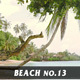 Beach No.13 - VideoHive Item for Sale