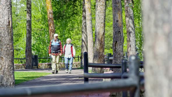 Senior Couple Having Walk in Park alt