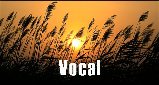 Vocal