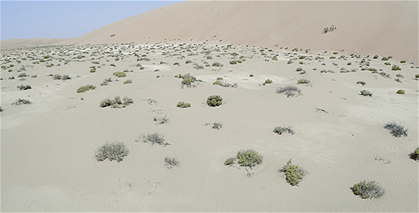 Desert Flight Dune
