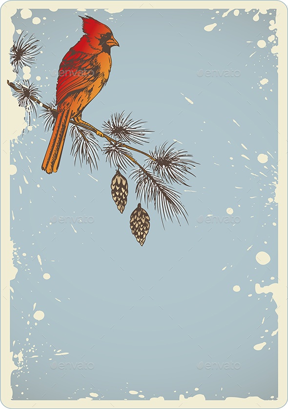 Pine Branch and Cardinal Bird - Christmas Seasons/Holidays