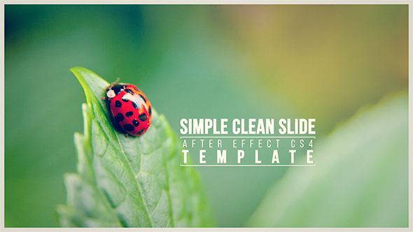 Simple Clean Slide - VideoHive 13527869