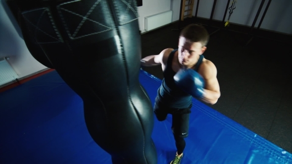 Boxing Workout: Athletic Man Boxing, Stock Footage | VideoHive