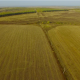 Flying Above Fields 2 - VideoHive Item for Sale