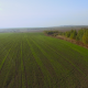 Flying Above Green Field - VideoHive Item for Sale