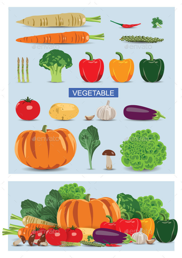 Vegetable - Food Objects