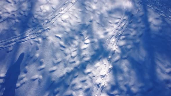 Aerial view of a drone flying over the winter park. alt