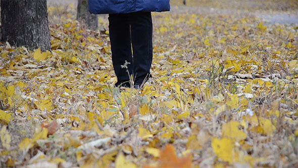 A Woman Walks on Autumn Leaves