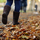 Walking in Autumn - VideoHive Item for Sale