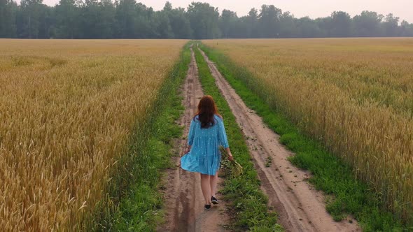 A Young Girl in a Dress Walks Along a Wheat Field alt
