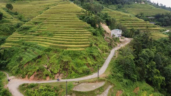 Aerial View Of Rice Fields in the Mountains Around A Green Forest with Trees and Palm Trees in an alt