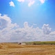 Combines harvester in action on wheat field. Summer landscape of endless fields under blue sky - VideoHive Item for Sale