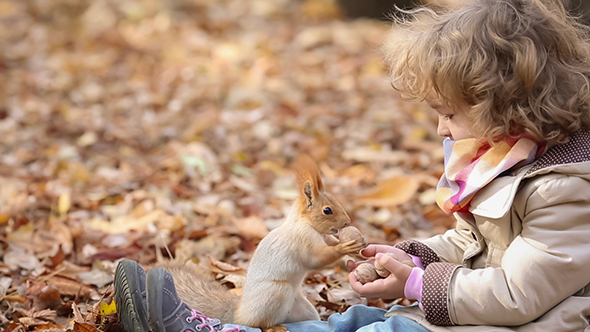 Child Feeds A Little Squirrel