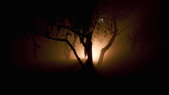 The Person With The Weapon In The Wood Looks For alt