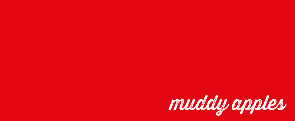 Banner v3