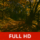 Through the Forest - VideoHive Item for Sale