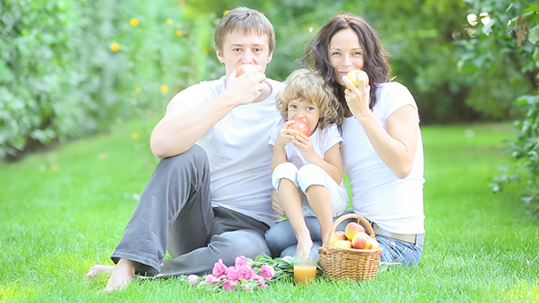 Family Having Picnic
