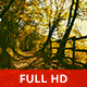 Walking by a Fence in the Woods - VideoHive Item for Sale