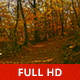 Path in the Woods Path in the Woods - VideoHive Item for Sale