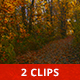 In the Quiet Woods - VideoHive Item for Sale