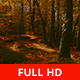 Between the Autumn Trees - VideoHive Item for Sale