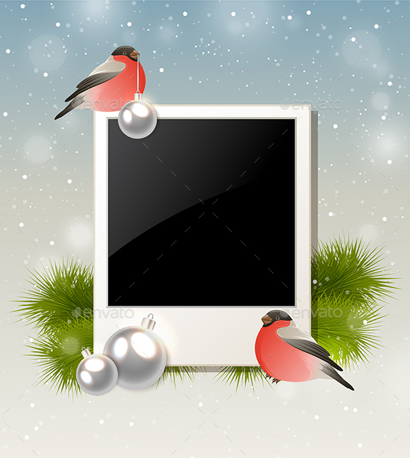 Bullfinch and Photo - Christmas Seasons/Holidays