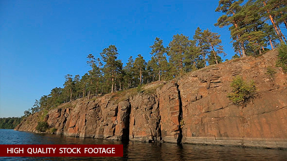 Trees on the Stone Island 1 alt