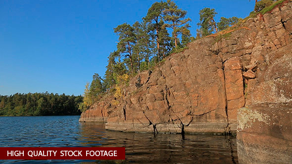 Trees on the Stone Island 3