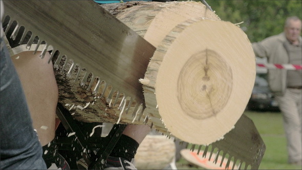 The Sawing of a Big Log from a Competition