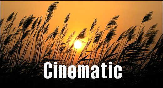 Cinematic