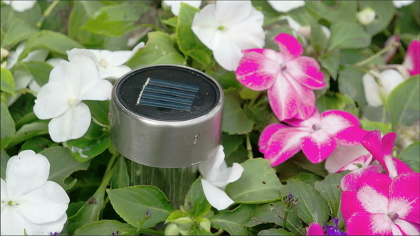 A Solar Powered Charger on the Flower Garden