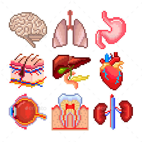 Pixel Human Body Parts Icons Vector Set - Health/Medicine Conceptual