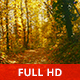 Magical Autumn - VideoHive Item for Sale