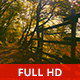 A Walk in the Woods - VideoHive Item for Sale