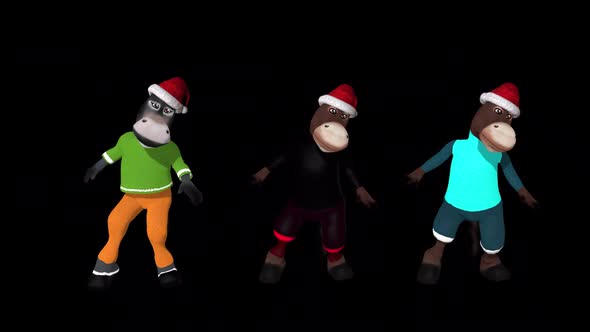 Donkeys Loop Dancing alt