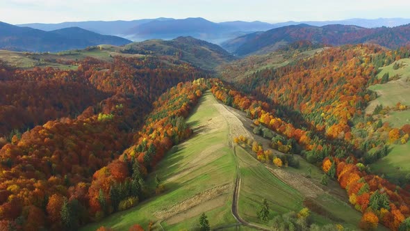 Aerial Shot Mountain Forest