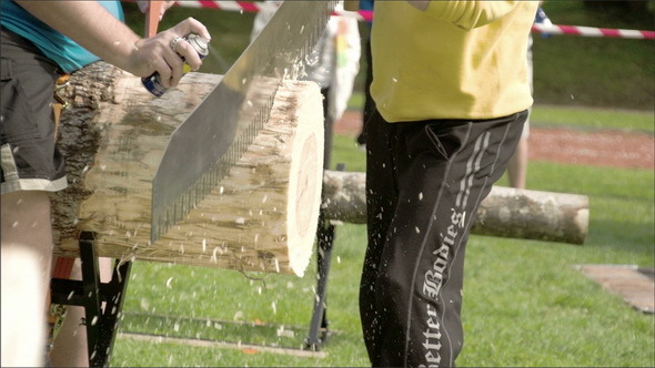 A Man in Yellow Sweater is Sawing the Big Log