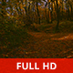 Going into the Woods - VideoHive Item for Sale
