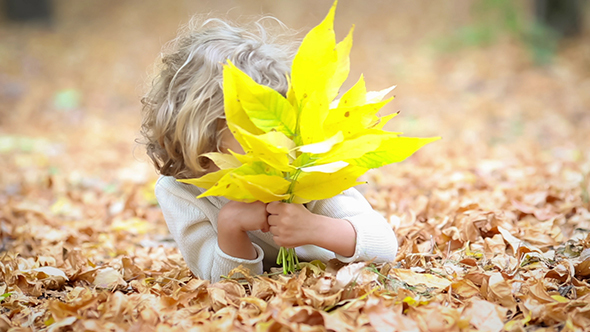 Child In Autumn Park