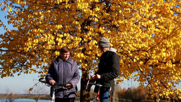 Son Talking to Mother on Nature