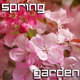 Blossoming Pink Flowers Garden - VideoHive Item for Sale