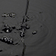 Water Pouring Black - VideoHive Item for Sale