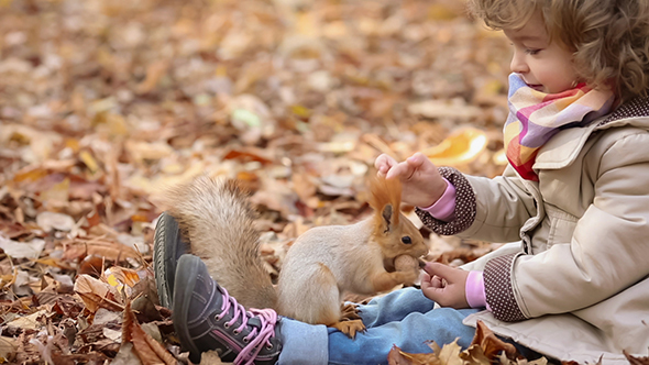 Child Feeds A Little Squirrel, Stock Footage | VideoHive