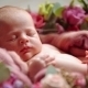 Cute Newborn Baby Girl Sleeping In Flowers  - VideoHive Item for Sale