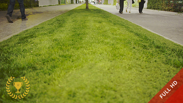 Walkway and Grass in the City