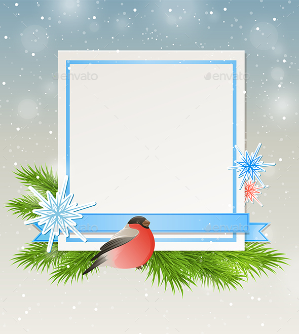 Bullfinch and White Sheet of Paper - Christmas Seasons/Holidays